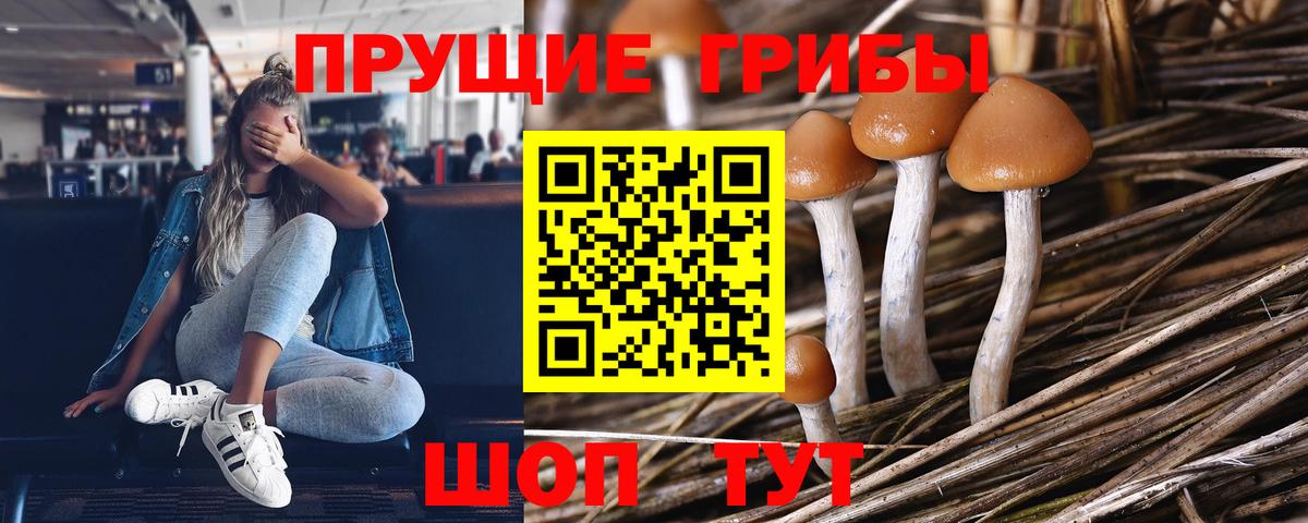Галлюциногенные грибы мухоморы Горячий Ключ