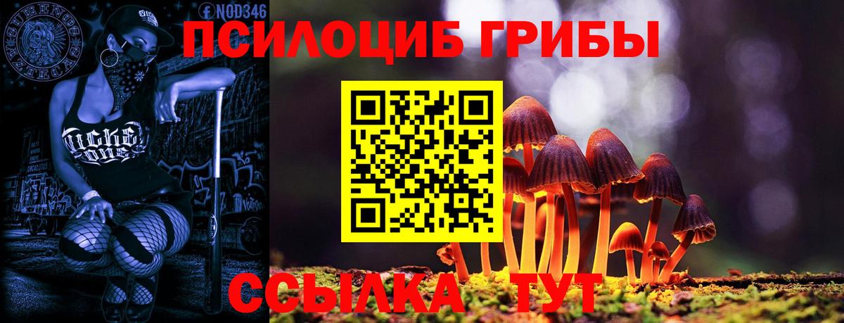 Галлюциногенные грибы прущие грибы  Вход с VPN  Горячий Ключ 